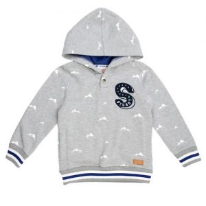 Sturdy sweater+capuchon grijs expedition