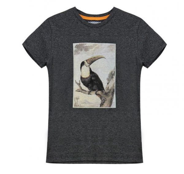 Vinrose shortsleeve grijs toekan