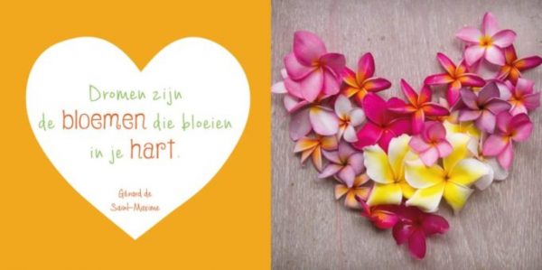 Uitg. Lantaarn - Denk positief - Afbeelding 3