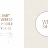 Uitg. Lantaarn - Mijn negen maanden babyboek - Afbeelding 6