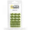 Citadel Colour Verdia Veldt Tufts