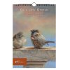 Erik van Ommen verjaardagskalender vogels