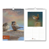 Erik van Ommen verjaardagskalender vogels - Afbeelding 2