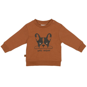 Frogs & Dogs playtime sweater loyal friend