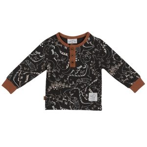 Frogs & Dogs dino park longsleeve aop
