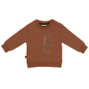 Frogs & Dogs dino park sweater dinosaur