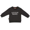 Frogs & Dogs dino park sweater little rebel