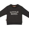 Frogs & Dogs dino park sweater little rebel - Afbeelding 2