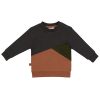 Frogs & Dogs dino park sweater colour block