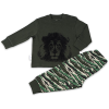 Frogs & Dogs pyjama leeuw groen