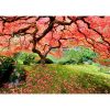 Peter Pauper puzzel Japanese maple tree - Afbeelding 3