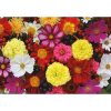 Turner puzzel fantastic flowers - Afbeelding 3