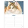 Francien van Westering verjaardagskalender katten - Afbeelding 2