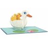 Papercrush pop-up wenskaart eenden familie - Afbeelding 2