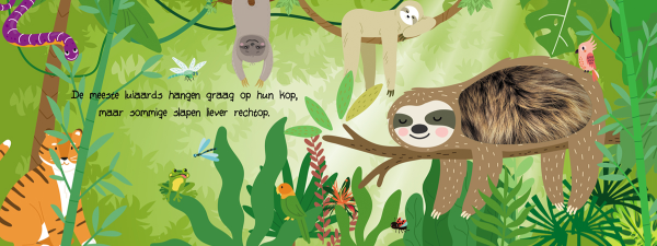Lantaarn kijk en voelboek jungledieren - Afbeelding 3