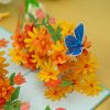 Papercrush pop-up kaart kleurrijke madeliefjes met vlinder sfeerfoto ingezoomd vlinder