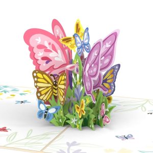 Papercrush pop-up kaart kleurrijke vlinders