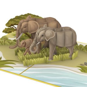 Papercrush pop-up kaart olifanten
