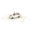 Papercrush pop-up kaart trouwauto met homopaar voorbeeld