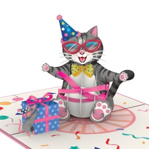 Papercrush pop-up kaart verjaardagskat