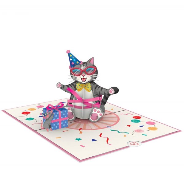 Papercrush pop-up kaart verjaardagskat grote afbeelding