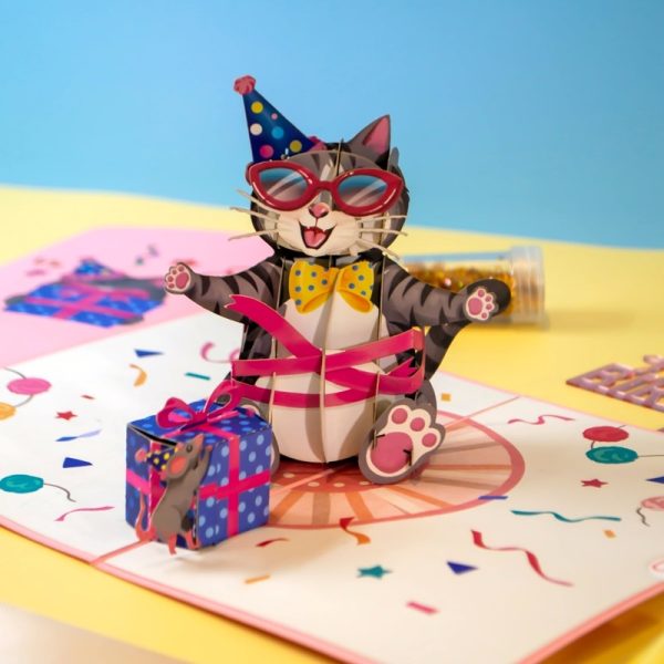 Papercrush pop-up kaart verjaardagskat sfeerfoto