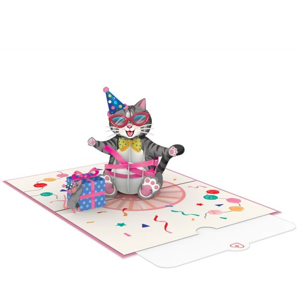 Papercrush pop-up kaart verjaardagskat voorbeeld