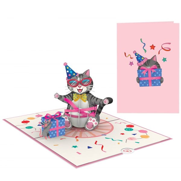 Papercrush pop-up kaart verjaardagskat voorkant en binnenkant