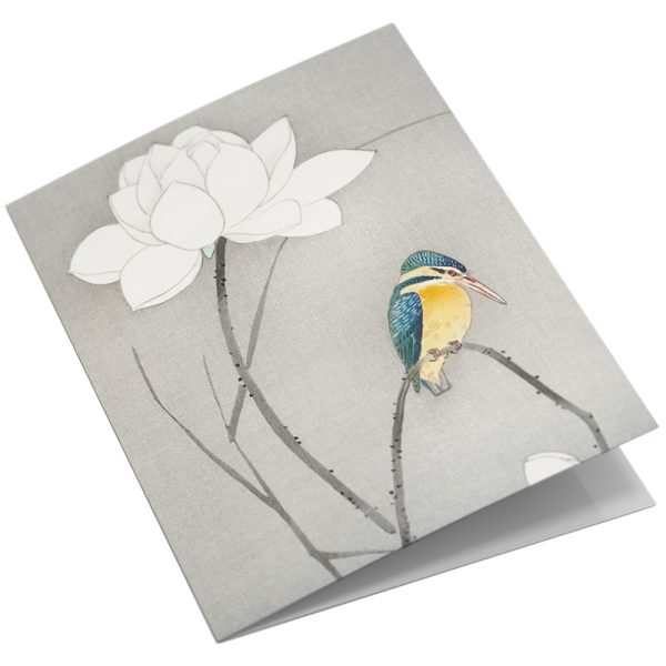 Studio Colori wenskaartenset vogelprenten ijsvogel bij lotusbloem
