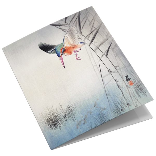 Studio Colori wenskaartenset vogelprenten ijsvogel jagend op vis