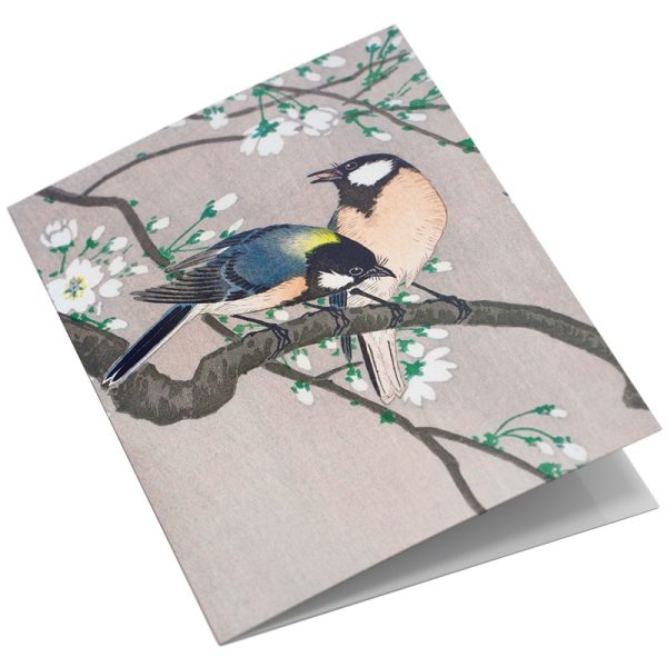 Studio Colori wenskaartenset vogelprenten koolmezen op bloesemtak