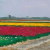 Verjaardagskalender Nederlandse landschappen tulpenveld bij Callantsoog