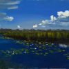 Verjaardagskalender Nederlandse landschappen waterlelies Rottige Meenthe