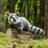 925293 Hermann Teddy Collection knuffel wasbeer sfeerfoto in het bos