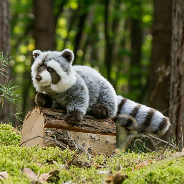 925293 Hermann Teddy Collection knuffel wasbeer sfeerfoto in het bos