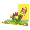 Papercrush pop-up kaart tulpenweide voorkant en binnenkant