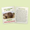 914266 Hermann Teddy Collection knuffel wombat 25 cm informatie