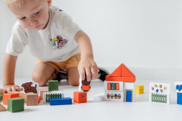 Bambolino Toys Nijntje houten blokkenton sfeerfoto met jongen