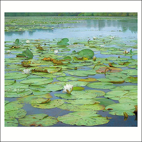 MK 214 Joke Frima wenskaart het stille water