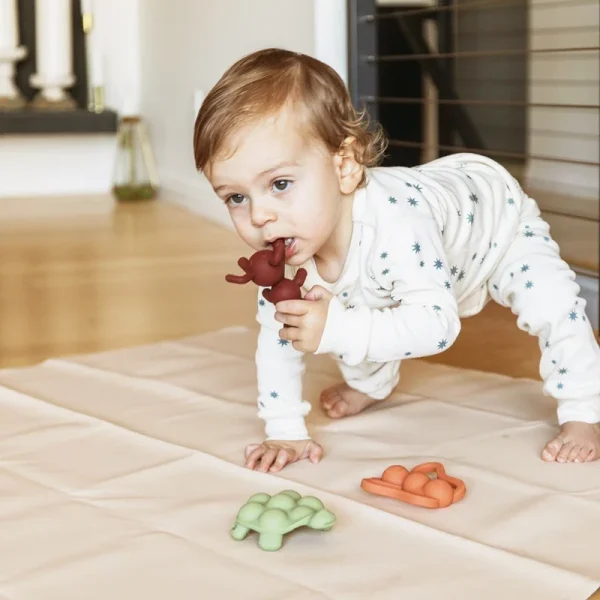 Doddle & Co bijtring sfeerfoto vlinder mier en schildpad