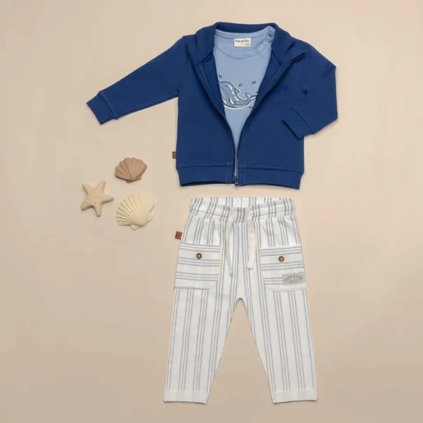 Frogs and Dogs vest sand and sun blauw sfeerfoto met schelpen