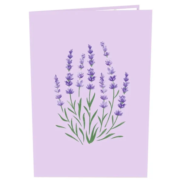 Papercrush pop-up kaart lavendel voorkant