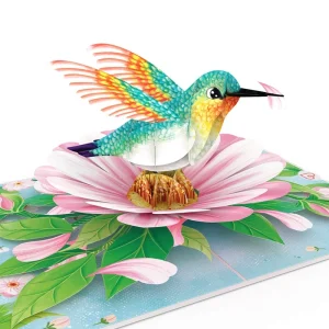 Papercrush pop-up wenskaart kolibrie