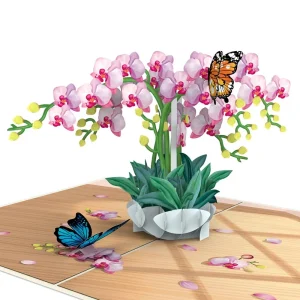 Papercrush pop-up wenskaart orchidee met vlinders