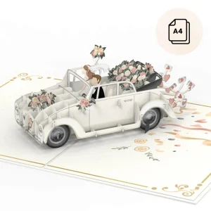 Papercrush pop-up wenskaart trouwauto (mr & mrs) XXL