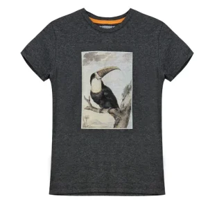 Vinrose shortsleeve grijs toekan